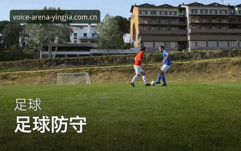 盈嘉体育平台足球数据使用教程：从注册到深度查数据的全套经验